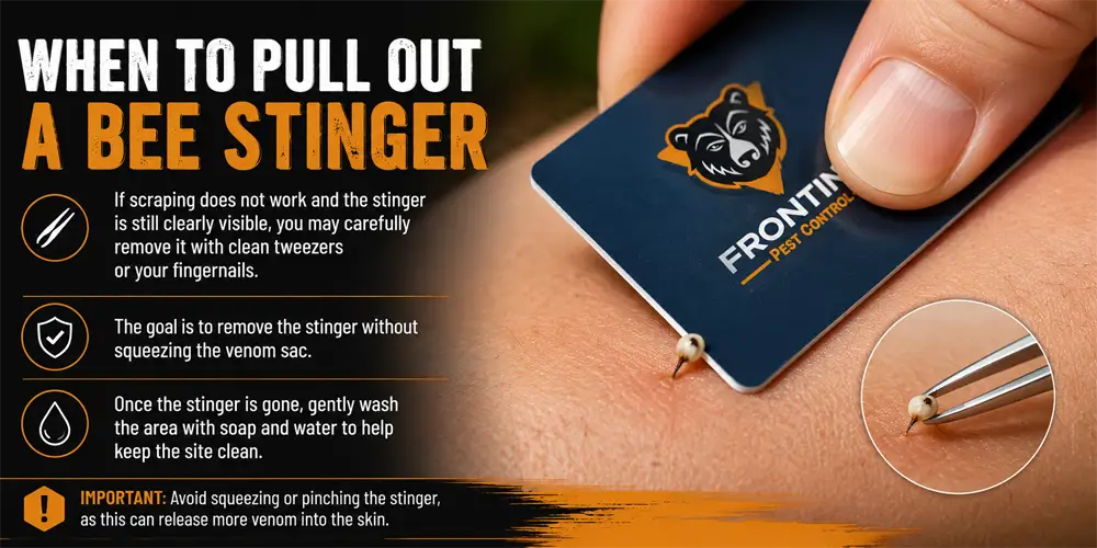 scrape-the-stinger-with-a-card-or pull-with-tweezers Phoenix AZ